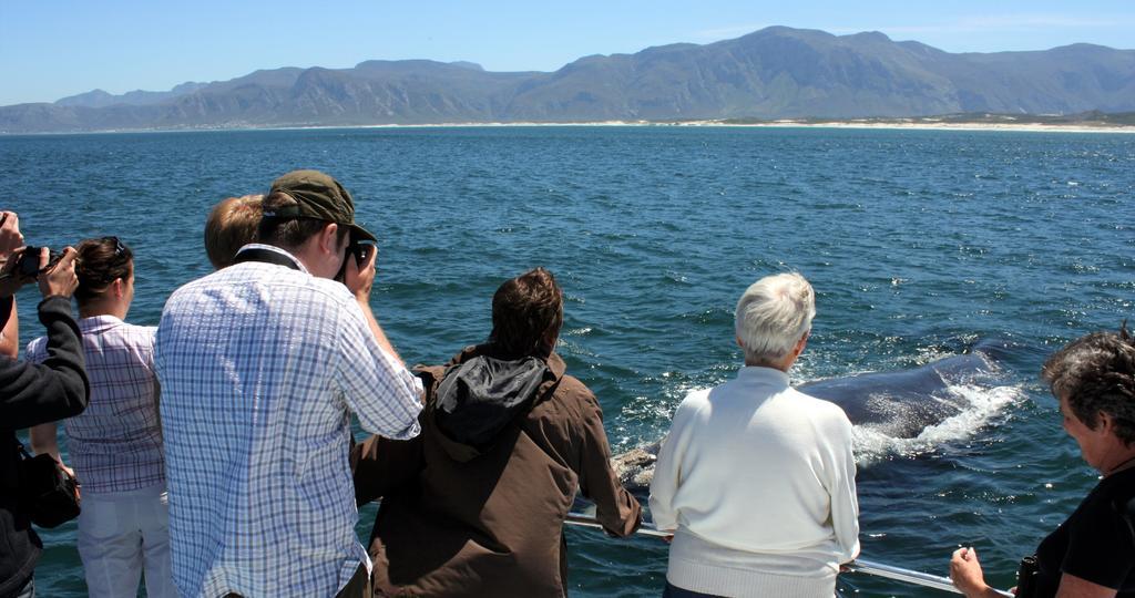 Kleinzee Oceanfront Guesthouse Gansbaai Exterior photo